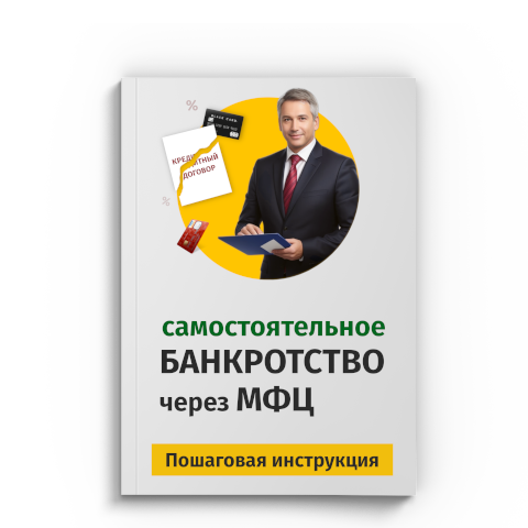 Пошаговая процедура банкротства через МФЦ в Новосибирске